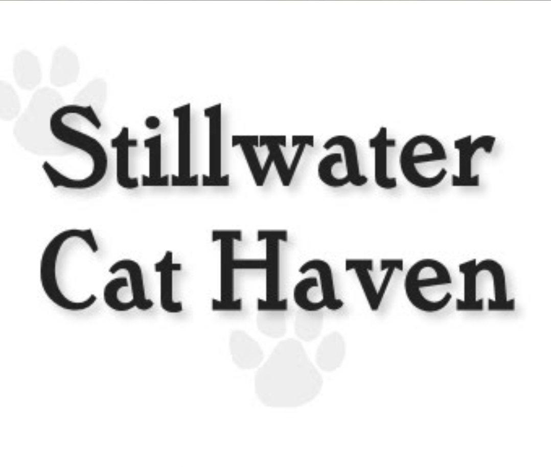Stillwater Cat Haven