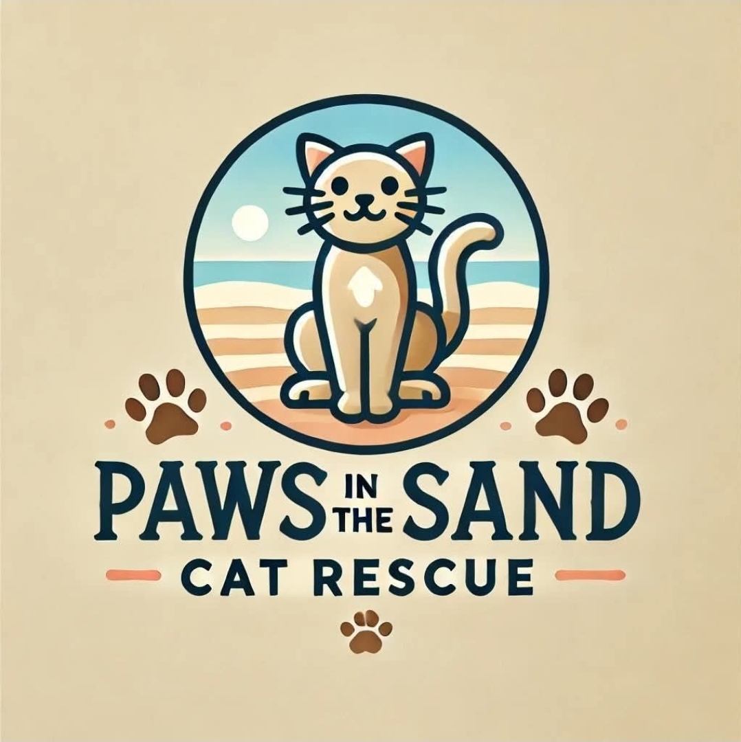 Paws in the sand