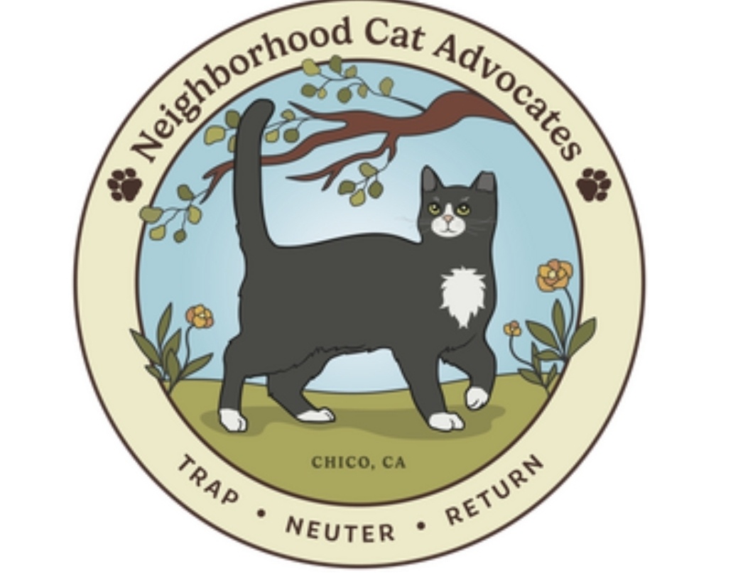 Neighborhood Cats Butte County 