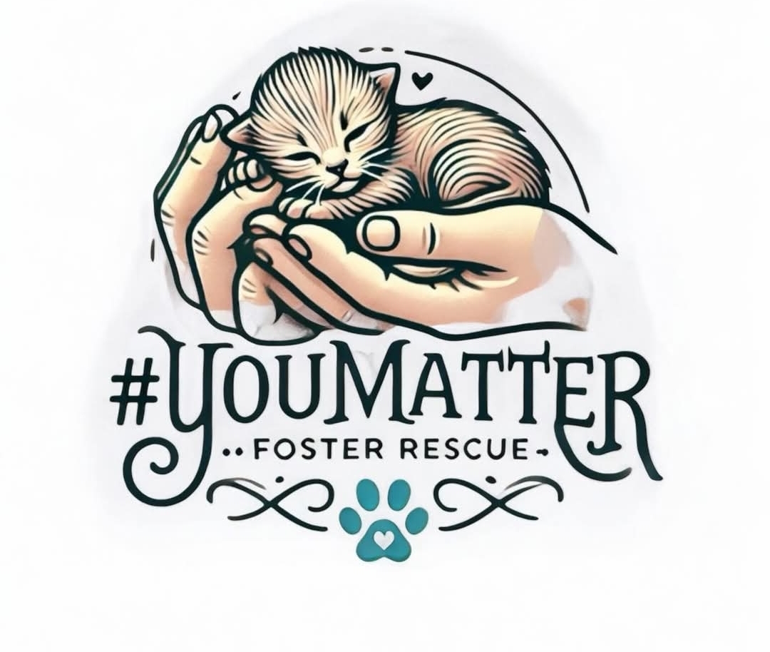 You Matter- Foster Rescue