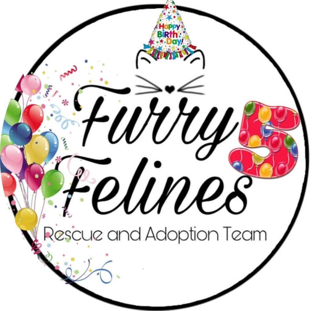 Furry Felines Rescue