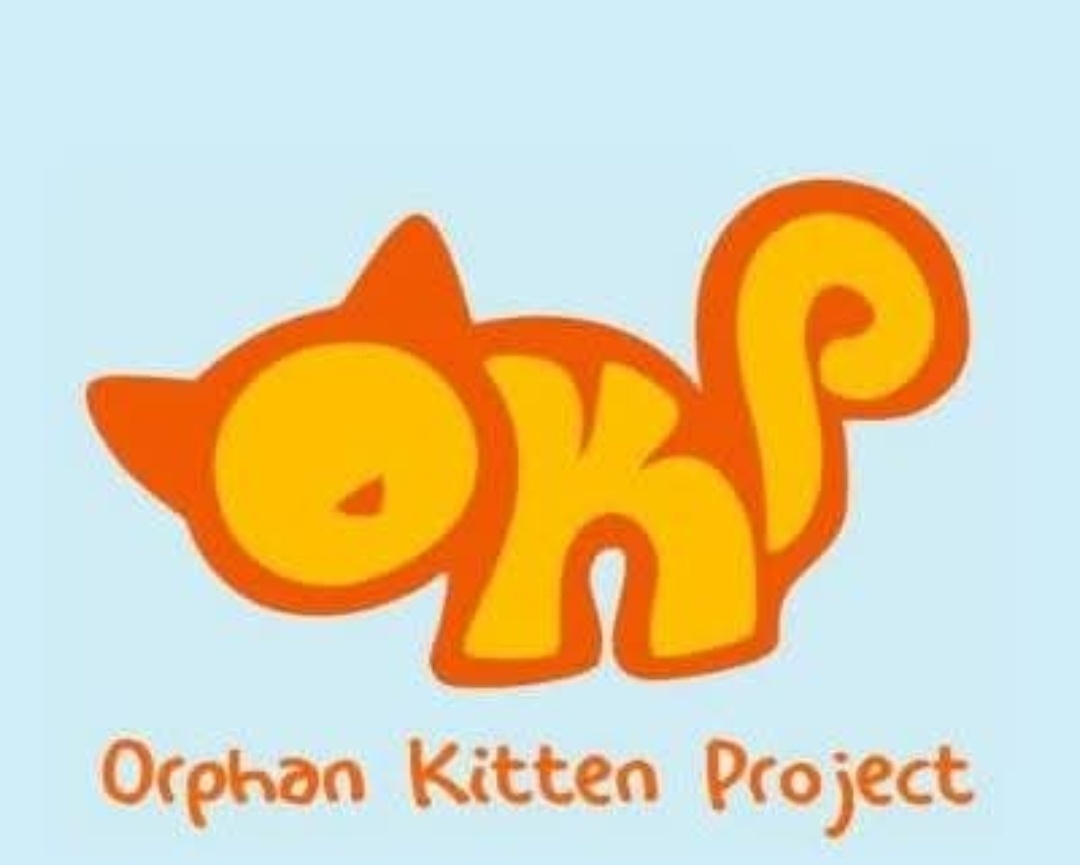 Orphan Kitten Project, UC Davis 