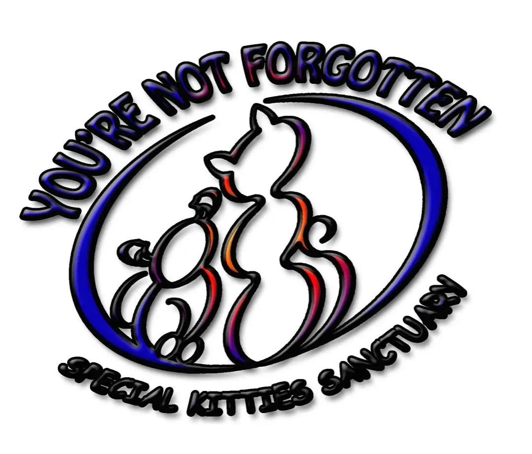 You're Not Forgotten